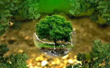 Kto wymyślił nazwę ekologia? Kto wymyślił nazwę ekologia?