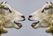 Co utrudnia nam komunikowanie się?