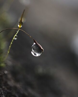 Co pić na skupienie?