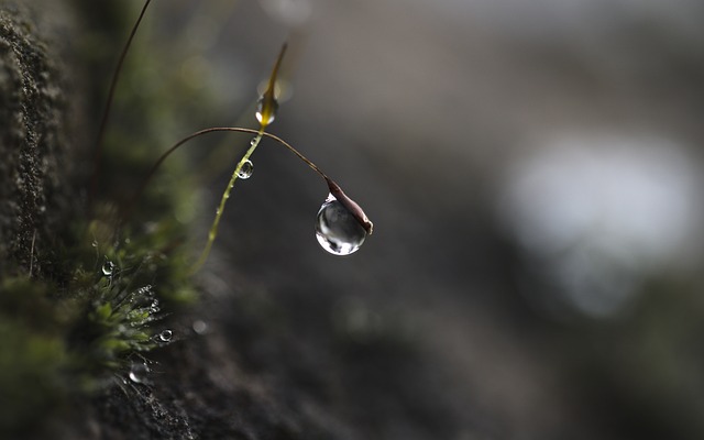Co pić na skupienie? Co pić na skupienie?