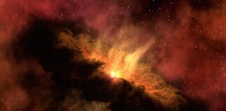 Jak zdać teorię bez kursu?