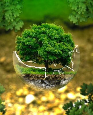 Na czym polega ekologiczny styl życia?