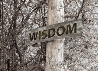 Czy można dostać stypendium na studia za granicą?