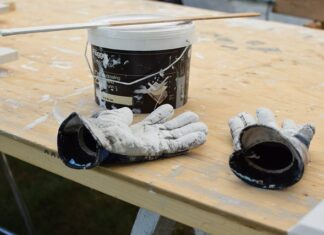 Czy jakiś Polak ukończył Harvard? Czy jakiś Polak ukończył Harvard?